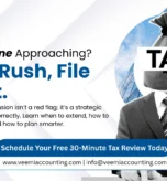 Business Tax Extensions Explained: When and Why US Companies File Them